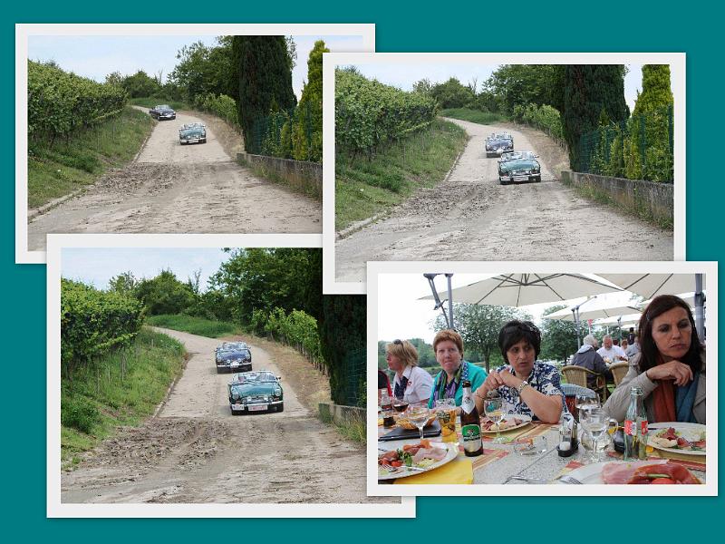 MG DAY 2012 (153).jpg